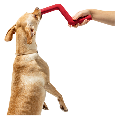 Wild One Bolt Bite Standard Dog Toy in Strawberry