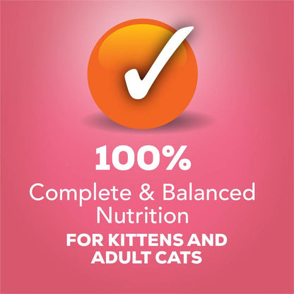 Friskies Salmon Dinner Pate Cat 2 5.5 oz
