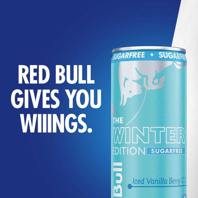 Red Bull Sugar Free Winter Edition Iced Vanilla Berry Energy Drink 12oz Can