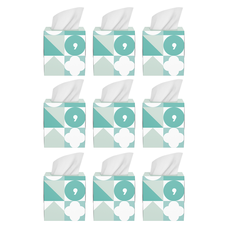 Basically, 80ct Soft Facial Tissues (Pack of 9)